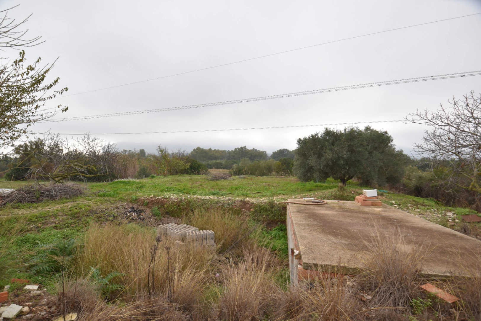 Maison sur un grand terrain urbain