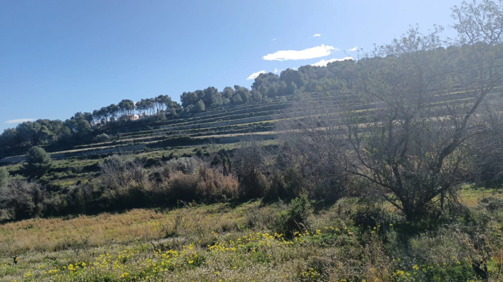 Amplia parcela de 10.000 m² en entorno natural privilegiado con orientación sur