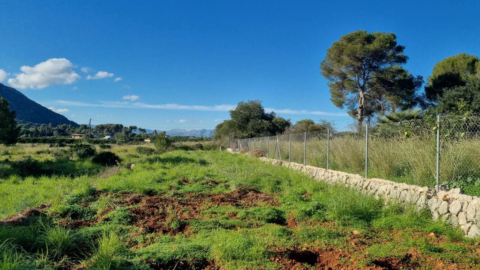 Finca en un terreno rústico en venta en Denia
