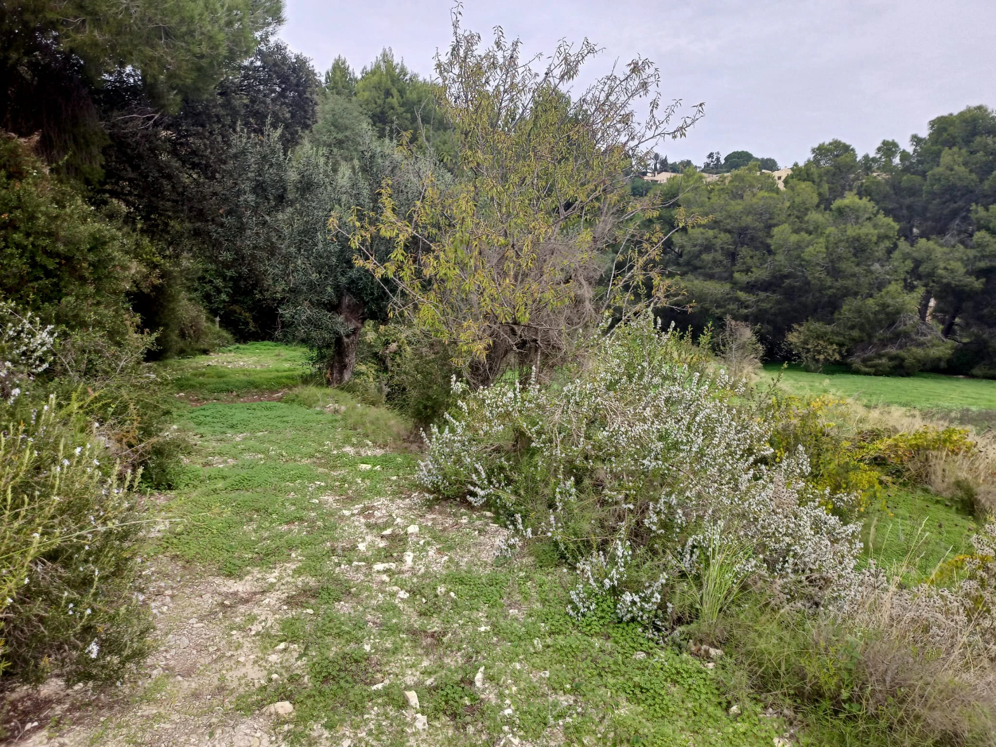 Terrain à la vente à Benissa