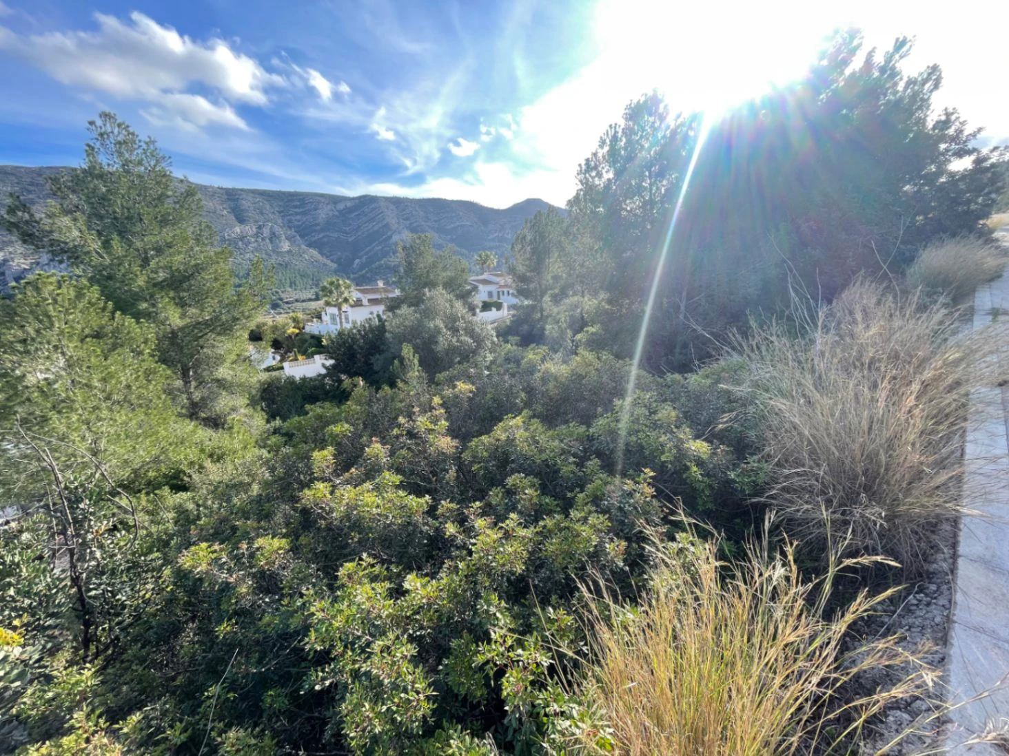Urban plot in Solana II Pedreguer