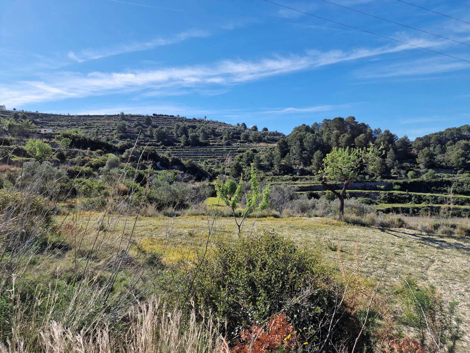 Plot for sale in Benissa