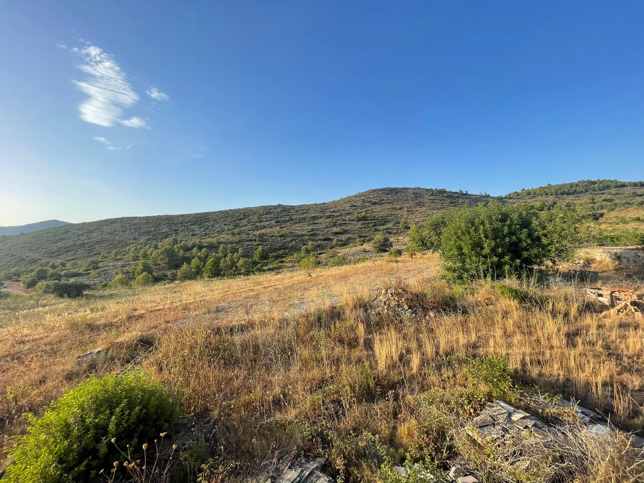 Finca for sale in Benissa