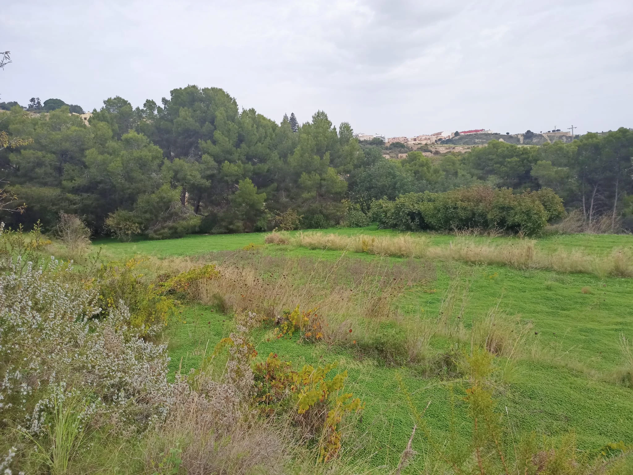 Terrain à la vente à Benissa
