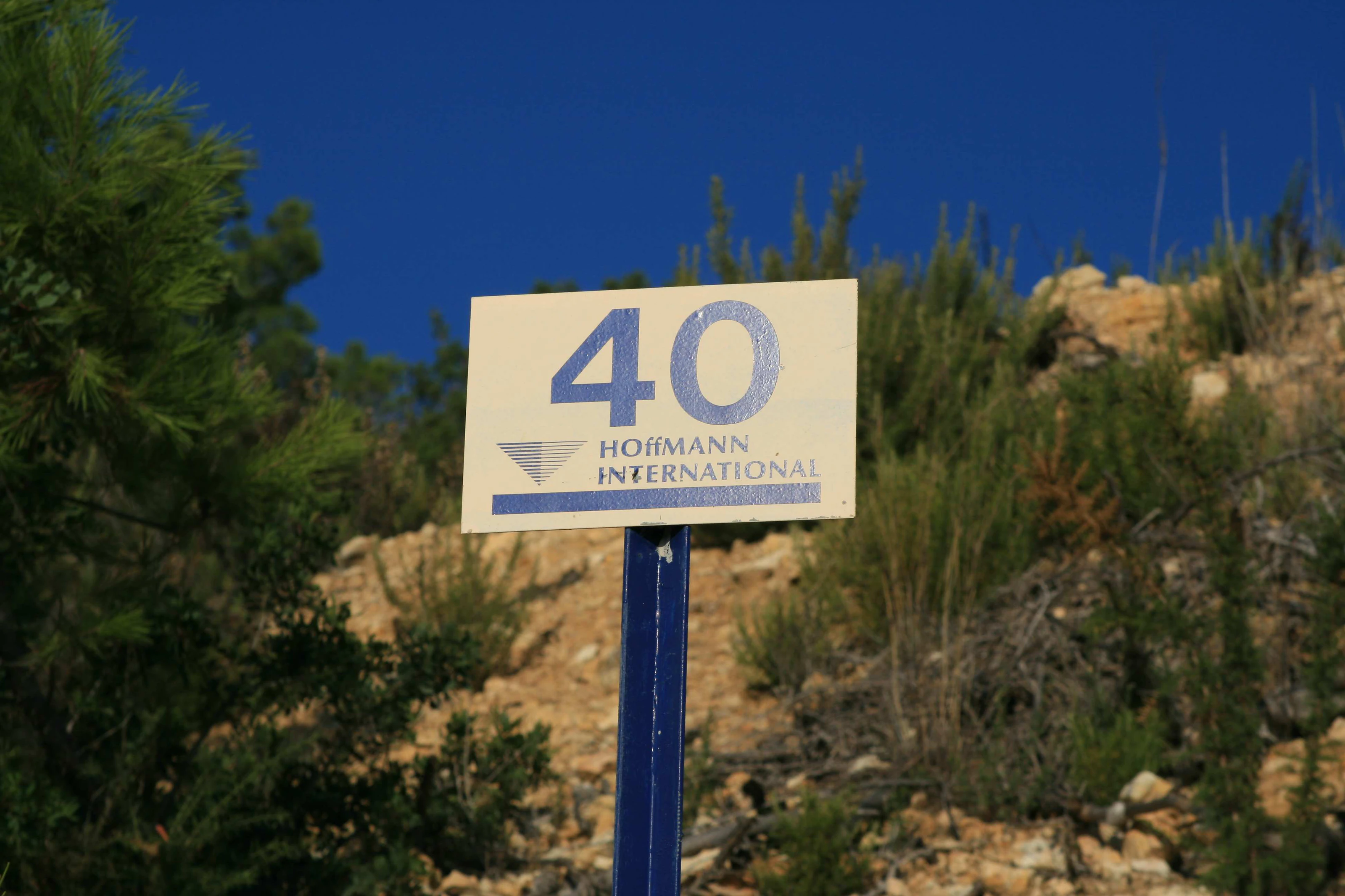 Plots for sale in Cansalades