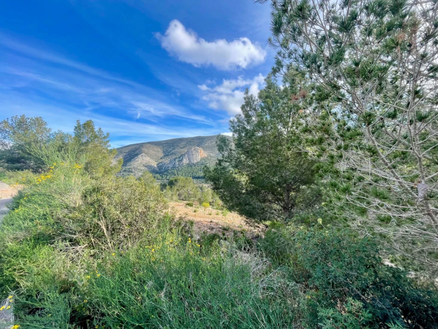 Plot to build in La Solana II Pedreguer