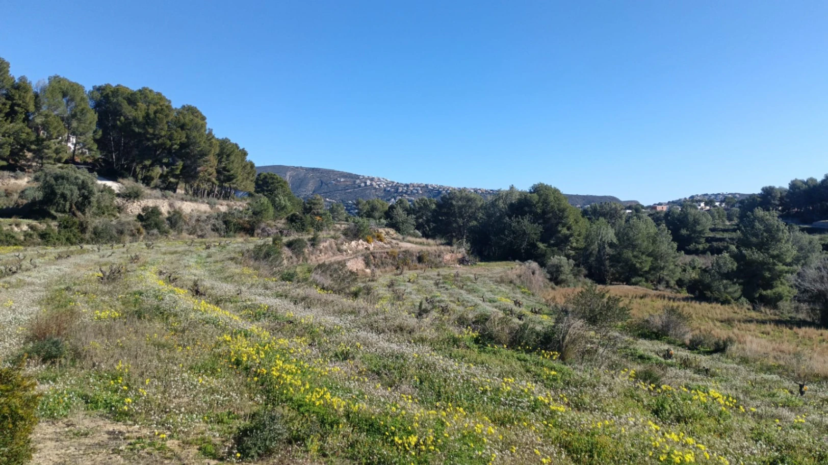Amplia parcela de 10.000 m² en entorno natural privilegiado con orientación sur