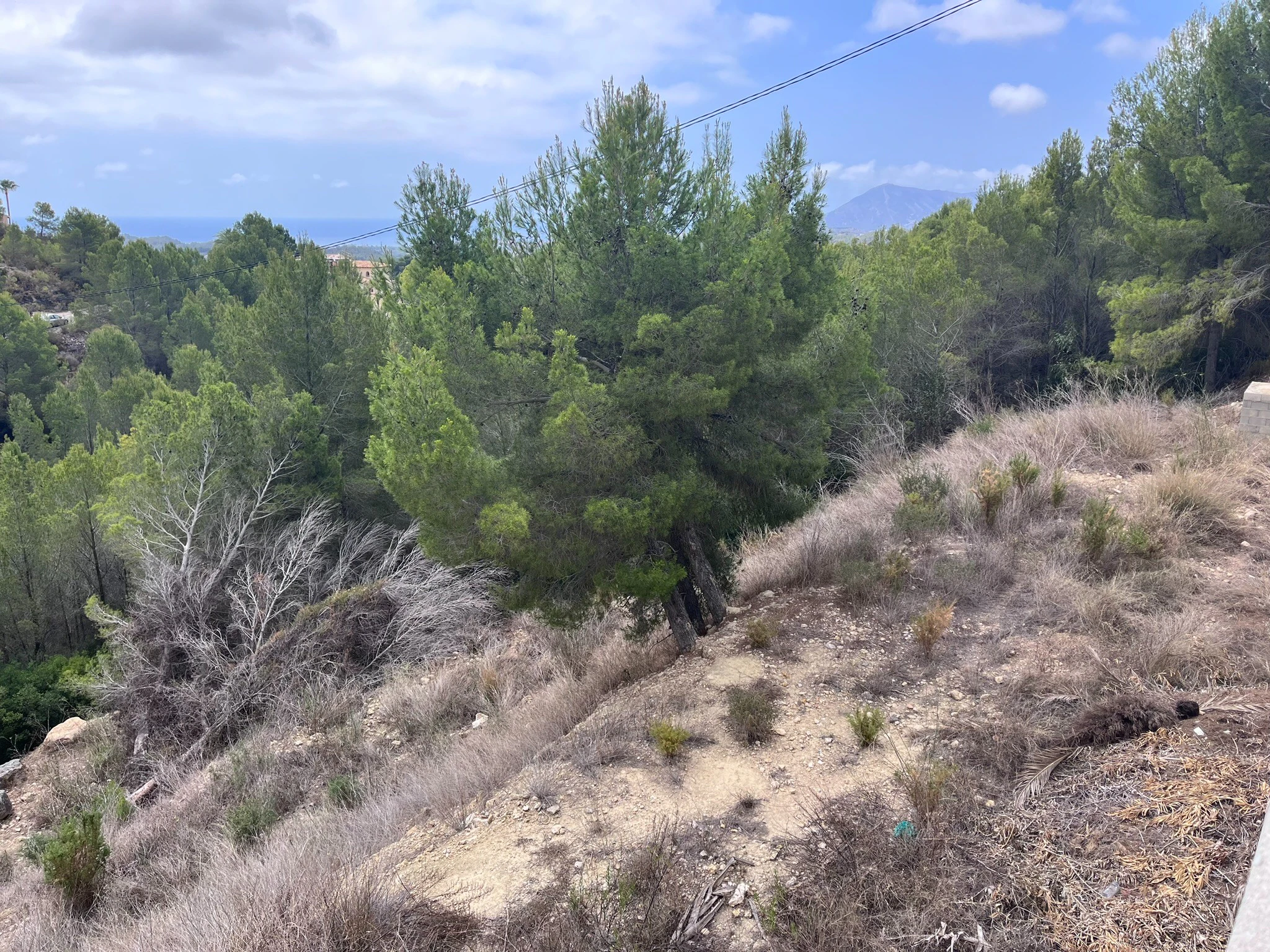 Plot for sale in Callosa D'en Sarrià