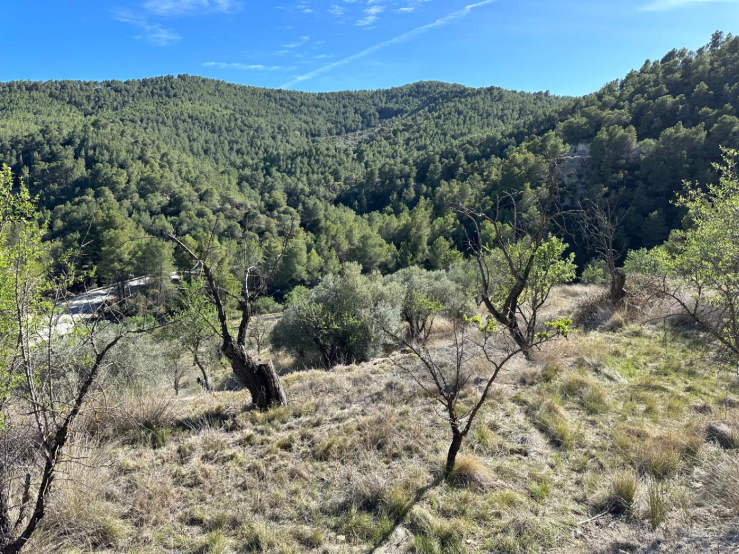 Maison de campagne à vendre à Sierra de Aitana