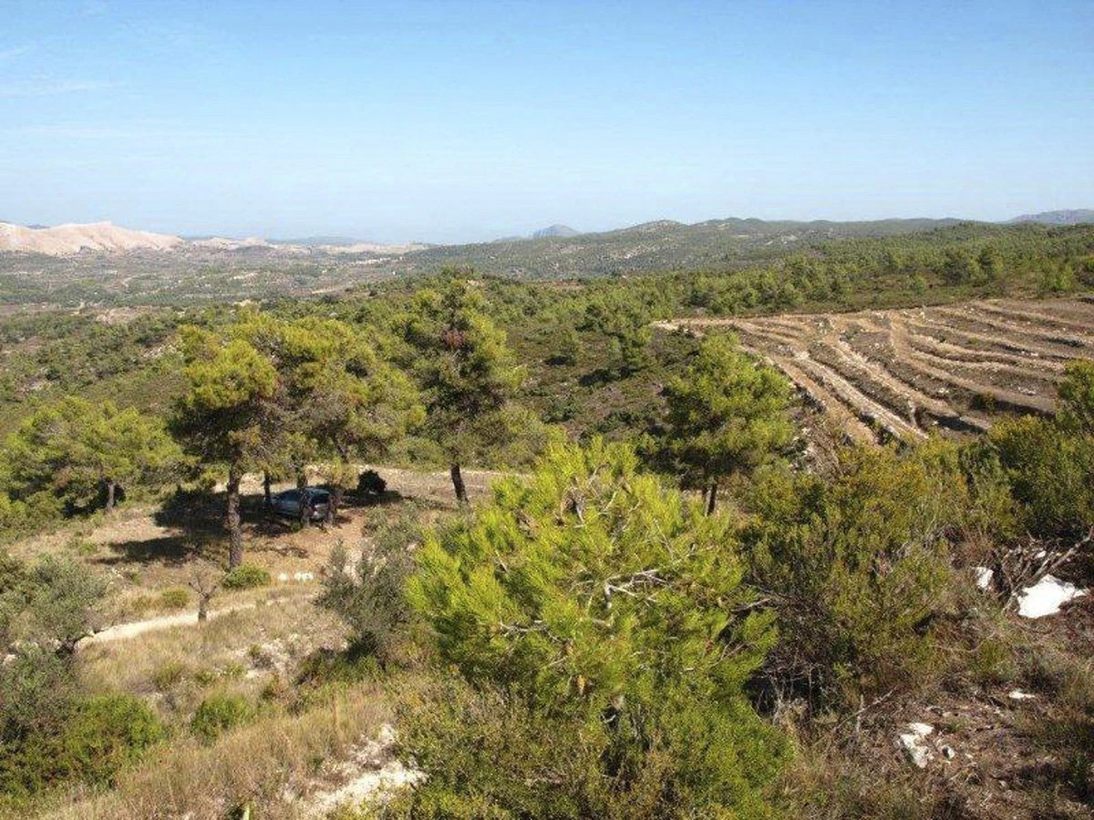 Great opportunity! 200,000 m2 of rural land for sale