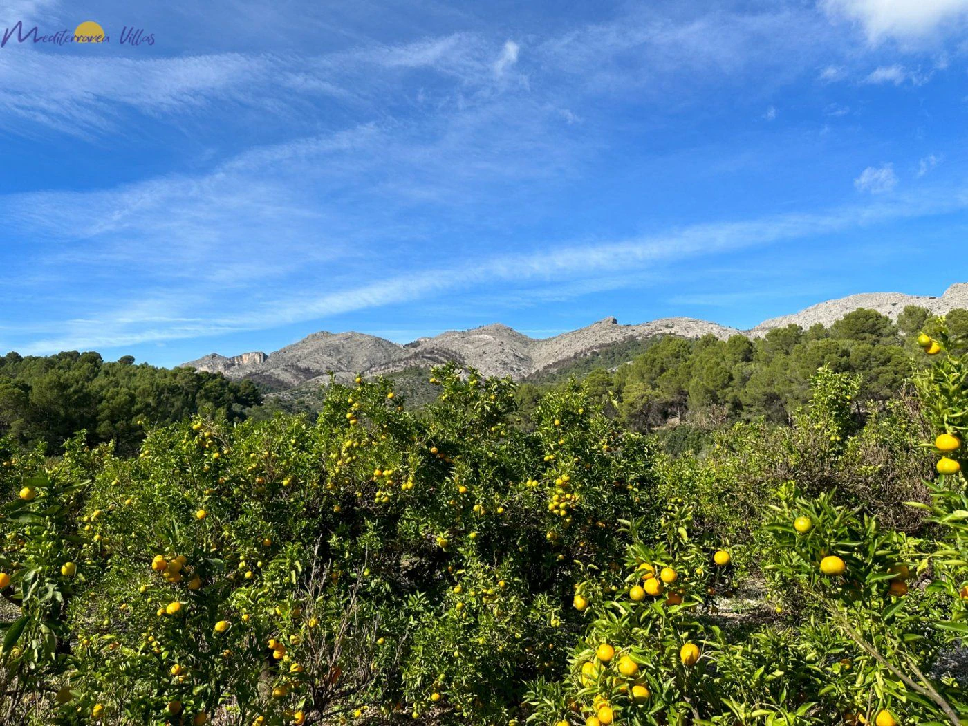 Perceel te koop in Orba