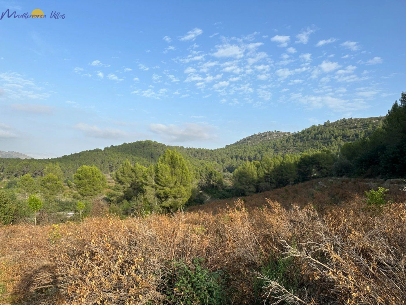 Terrain à vendre à Jalon