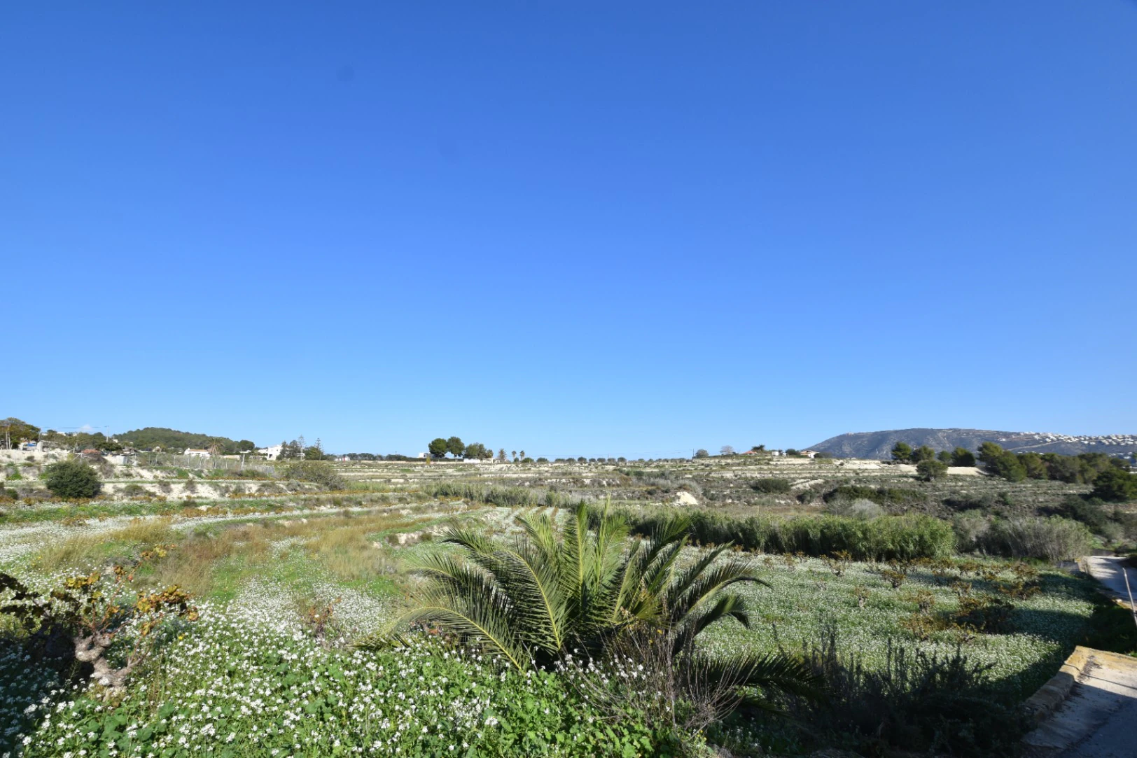 Rustiek land te koop in Teulada