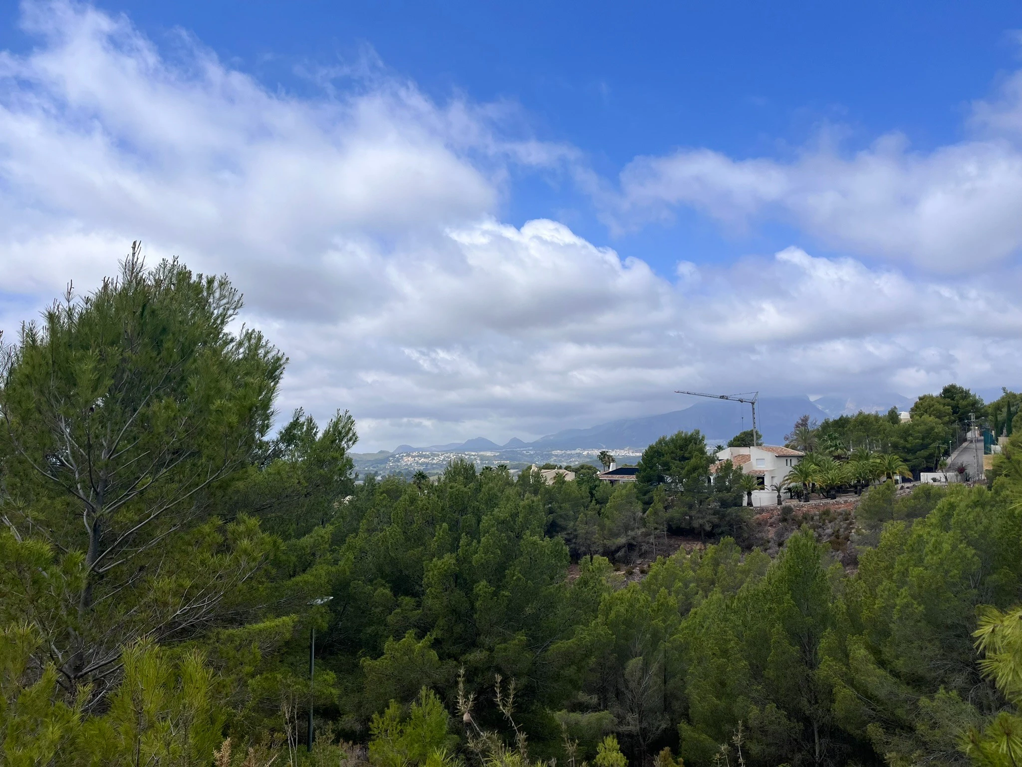 Plot for sale in Callosa D'en Sarrià