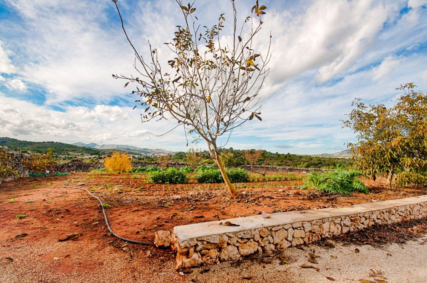 FINCA IN DER RUHE VON GATA DE GORGOS