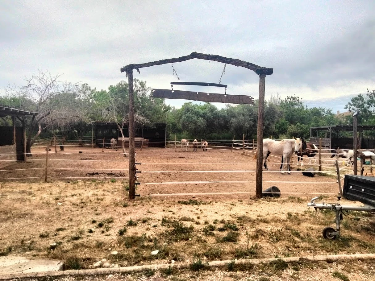Villa de 9 chambres sur plus de 9 000 m² près du centre de Denia avec piscine et installations équestres