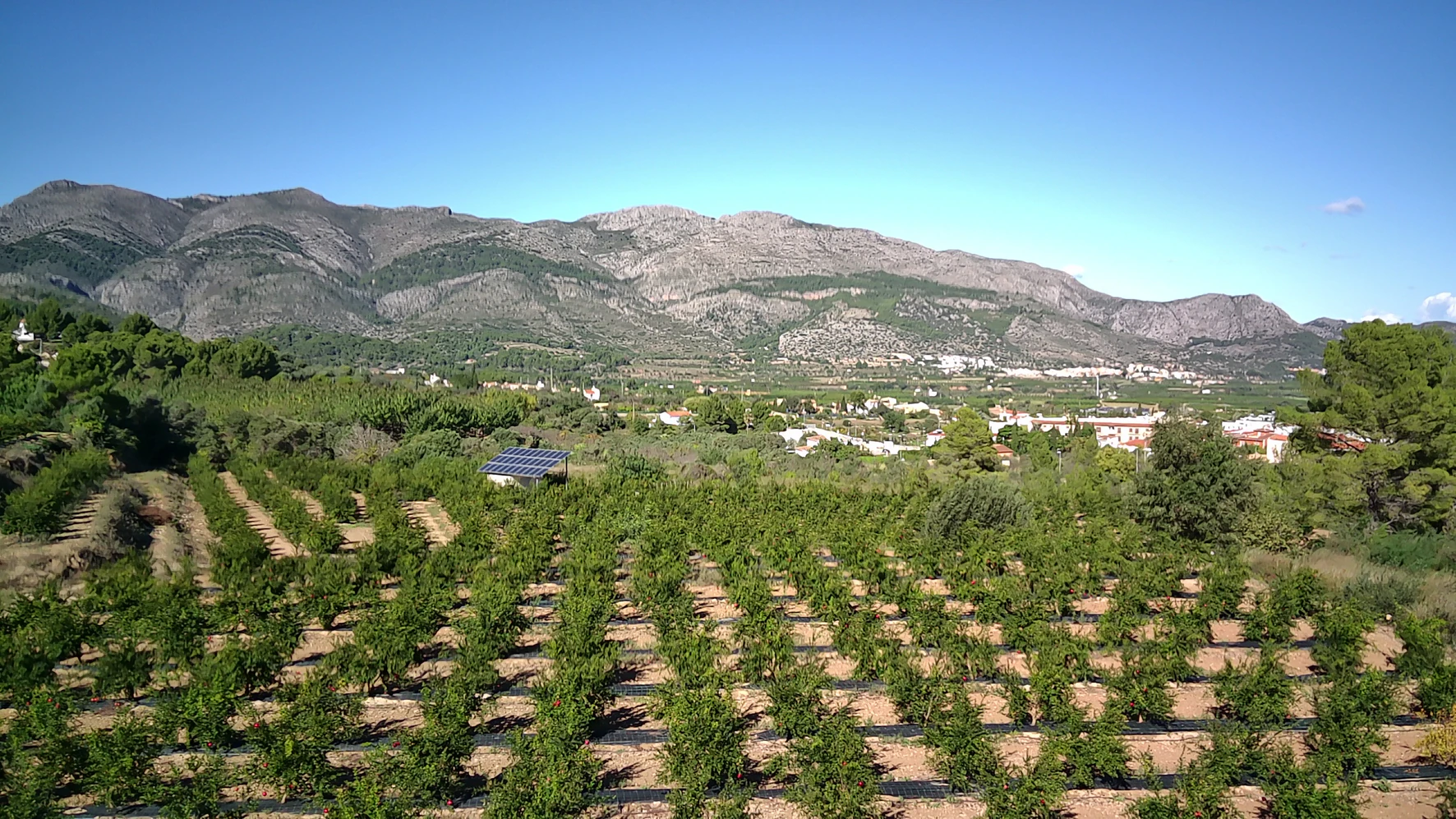 PARCELA 13000 m² LLANA