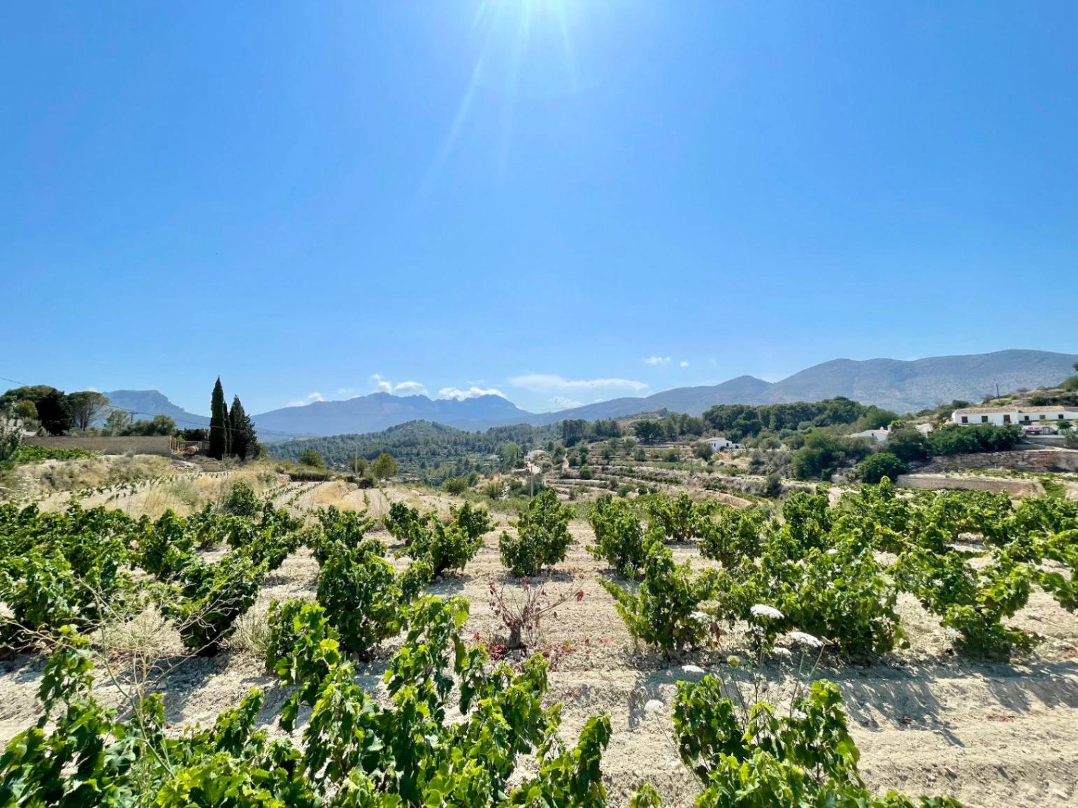 PLOT WITH PROJECT AND LICENSE IN BENISSA