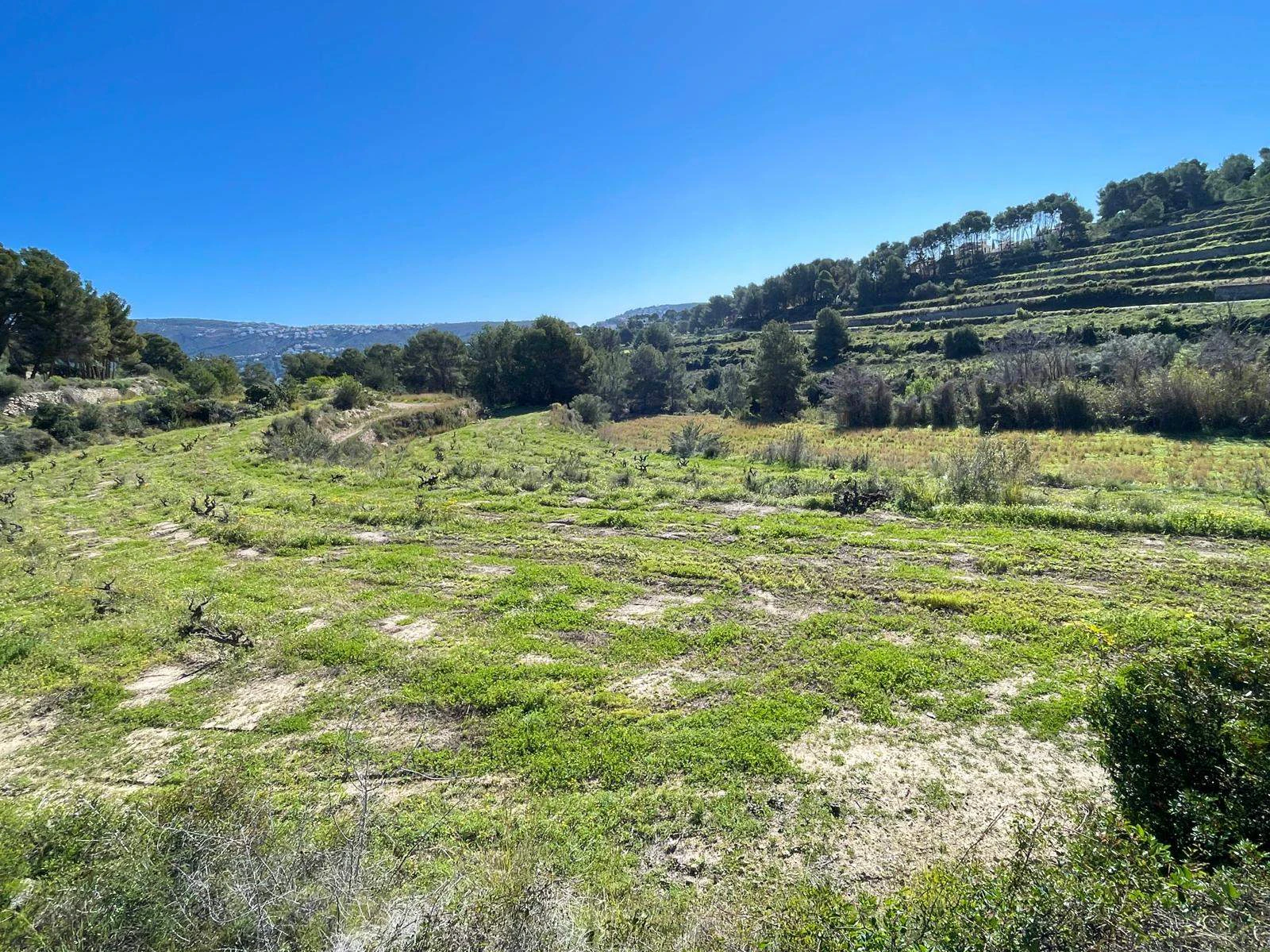 Amplia parcela de 10.000 m² en entorno natural privilegiado con orientación sur