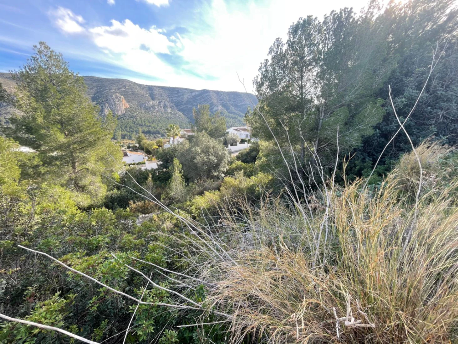 Urban plot in Solana II Pedreguer