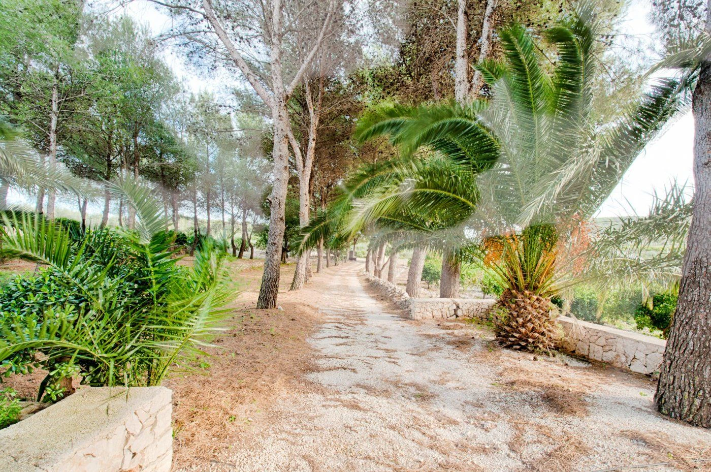 FINCA IN DER RUHE VON GATA DE GORGOS