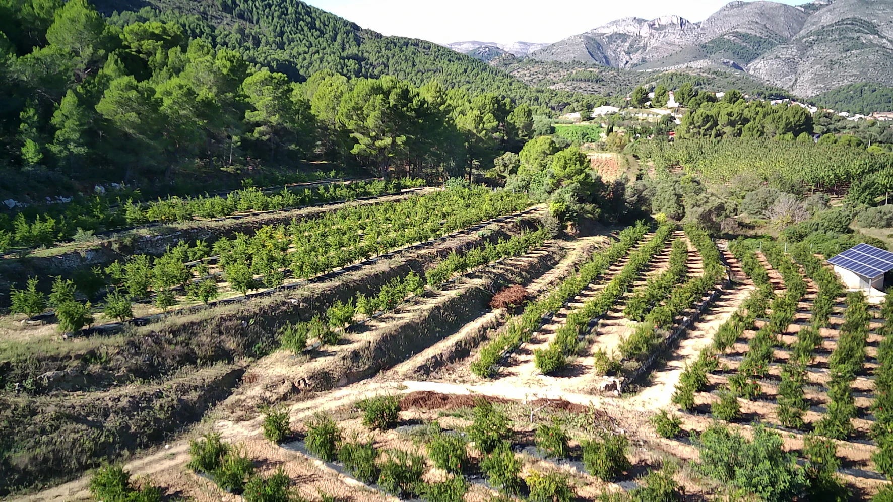 PARCELA 13000 m² LLANA