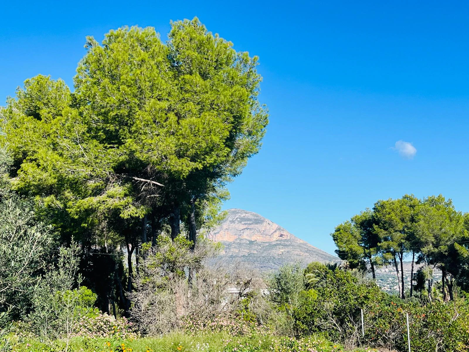 Plot for sale in Jávea / Xàbia