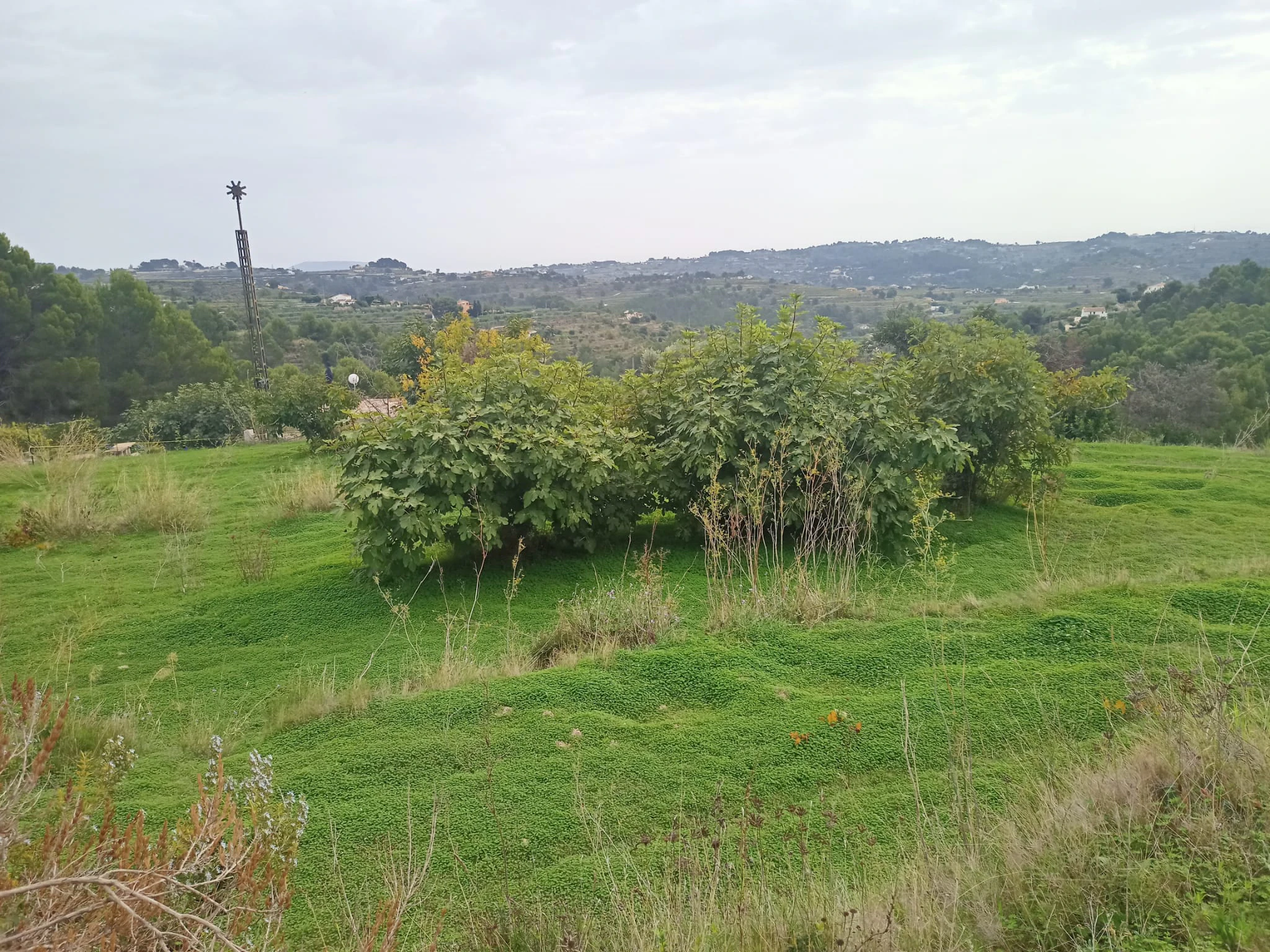 Terrain à la vente à Benissa