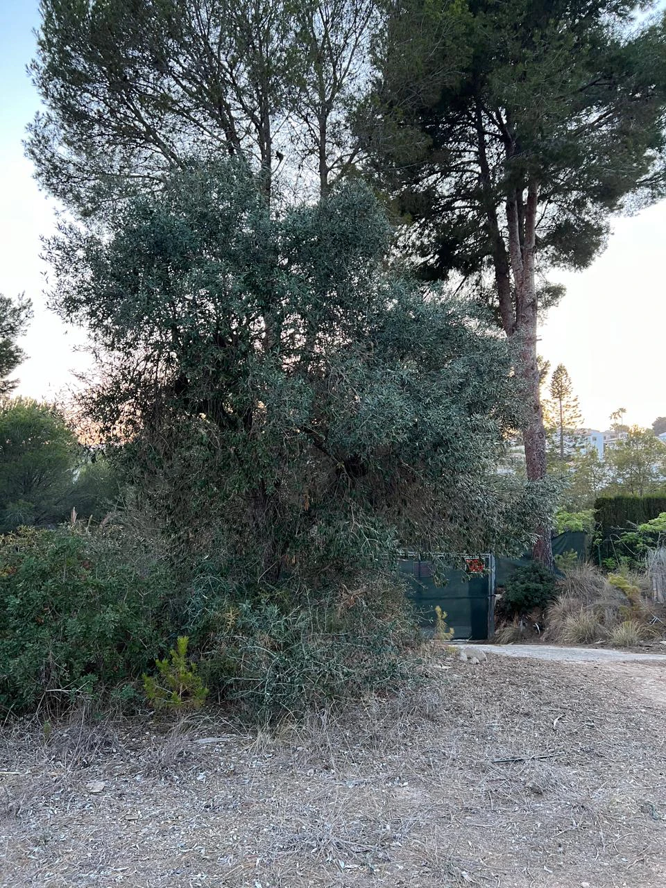 Plot for sale in Benissa