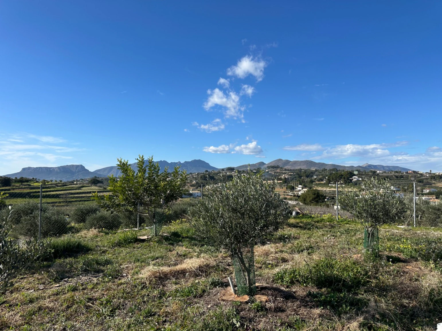 Rustiek perceel met prachtig uitzicht in Partida Berdica, Benissa