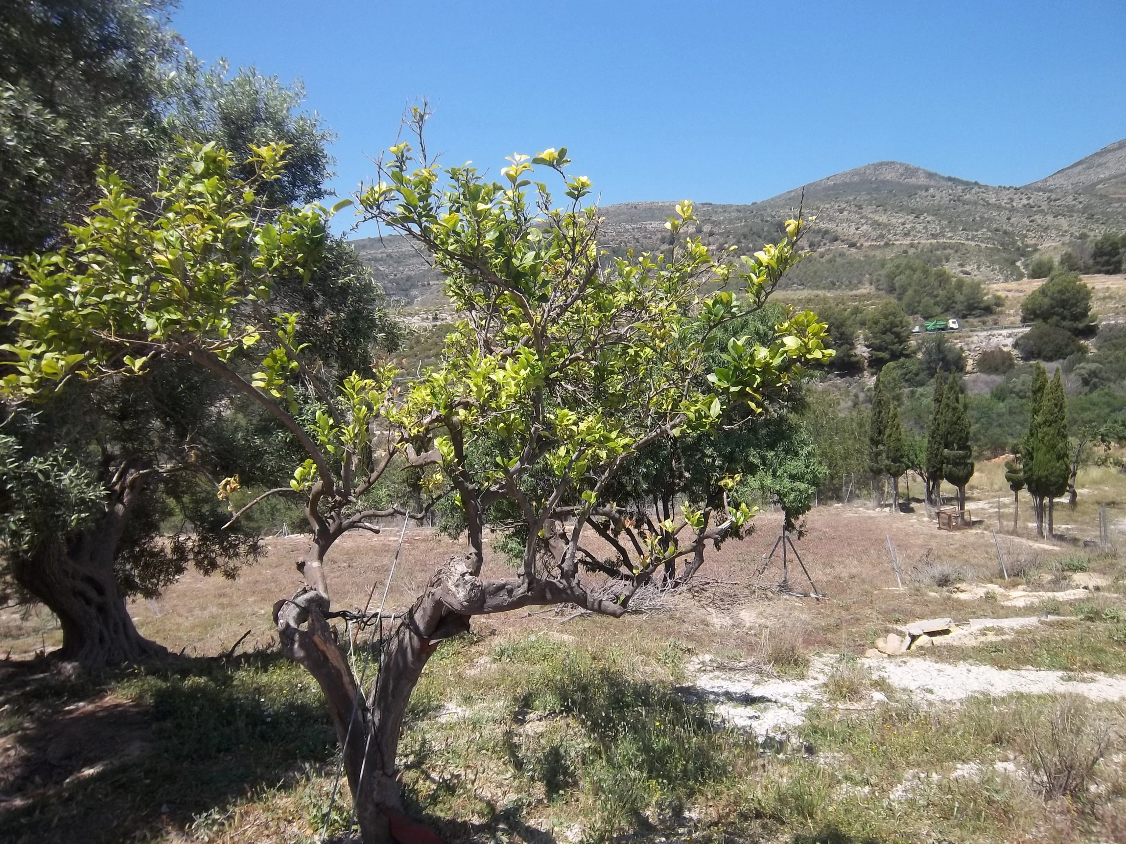 Plot for sale in Benissa
