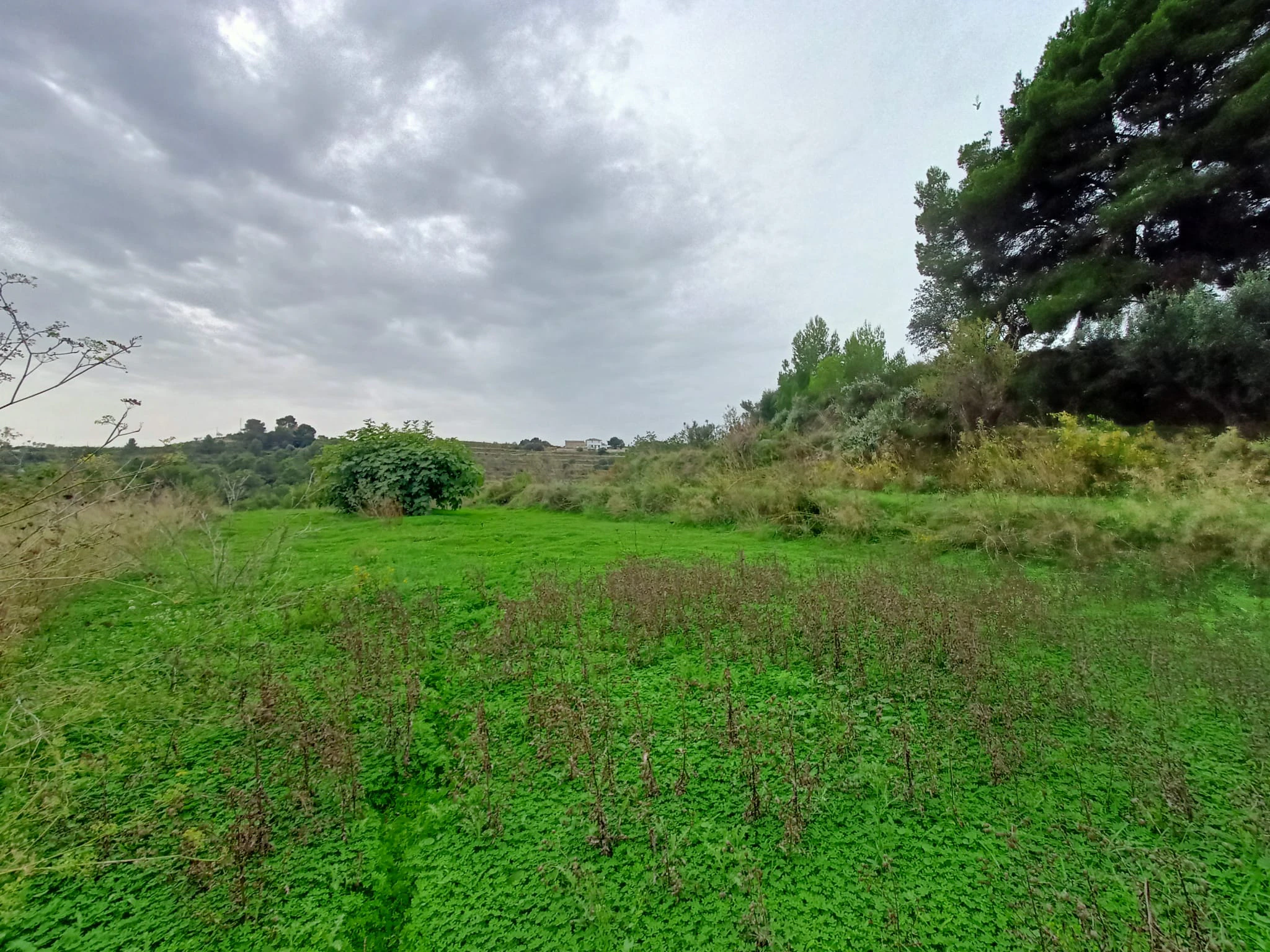 Terrain à la vente à Benissa
