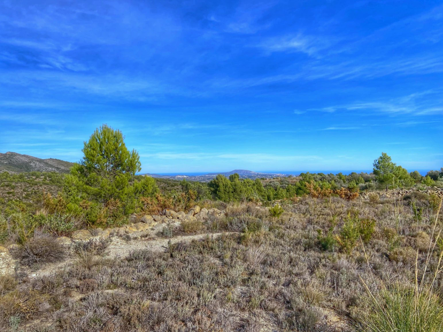 Terrain à vendre à Jalon avec un emplacement fantastique