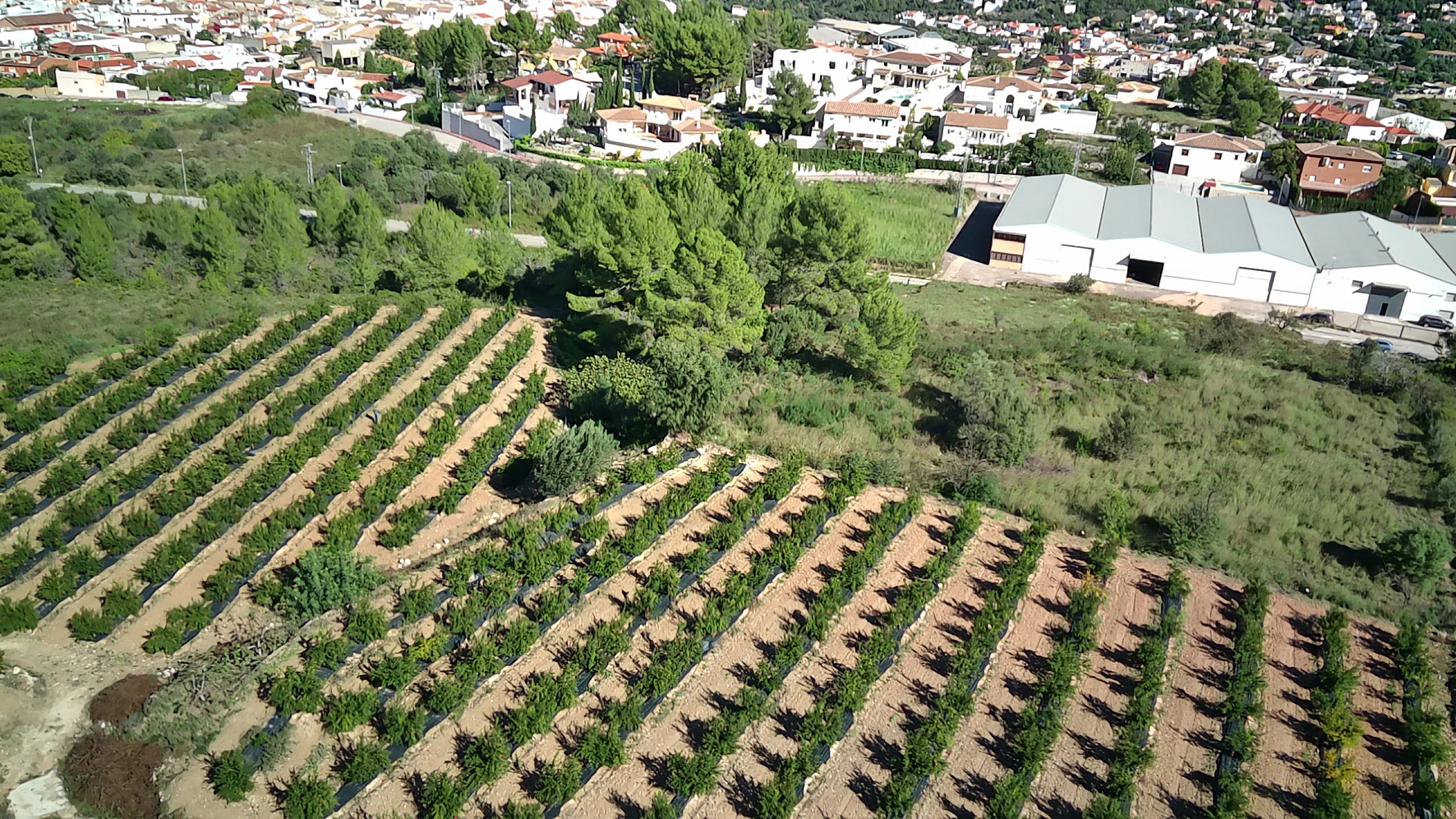 PARCELA 13000 m² LLANA