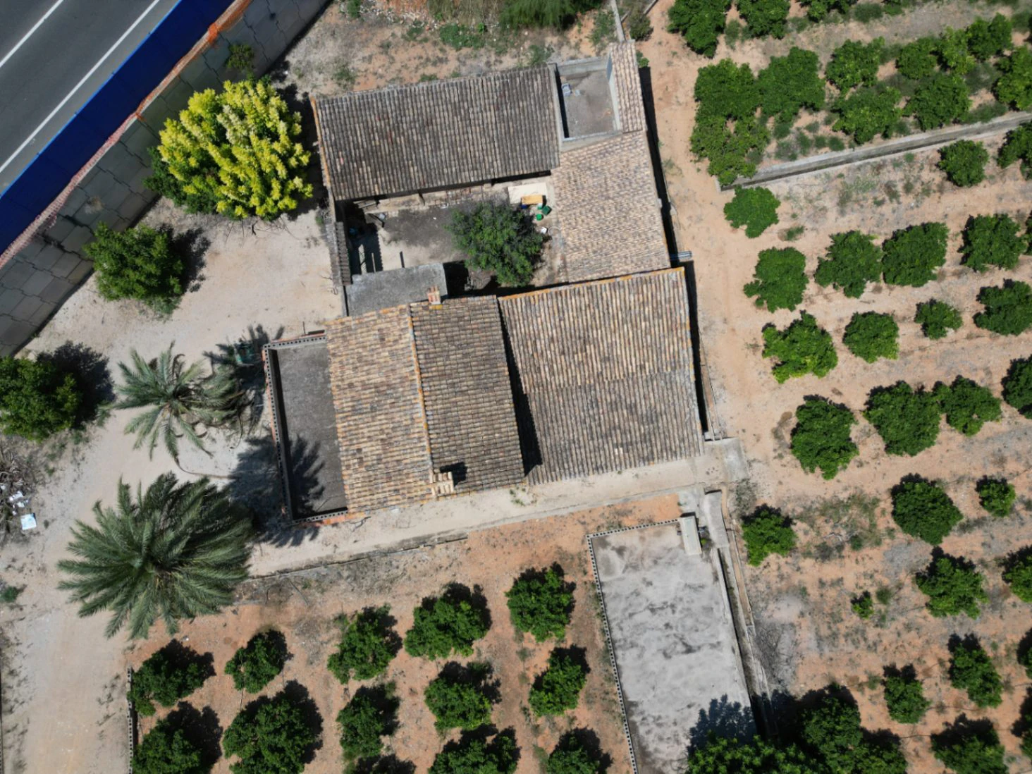 Finca à vendre près d'Ondara : 60 000 m² de terrain avec verger d'orangers et potentiel pour un nouveau développement