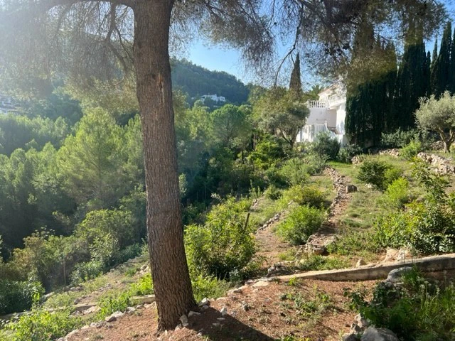Plot te verkoop in Denia, Alicante