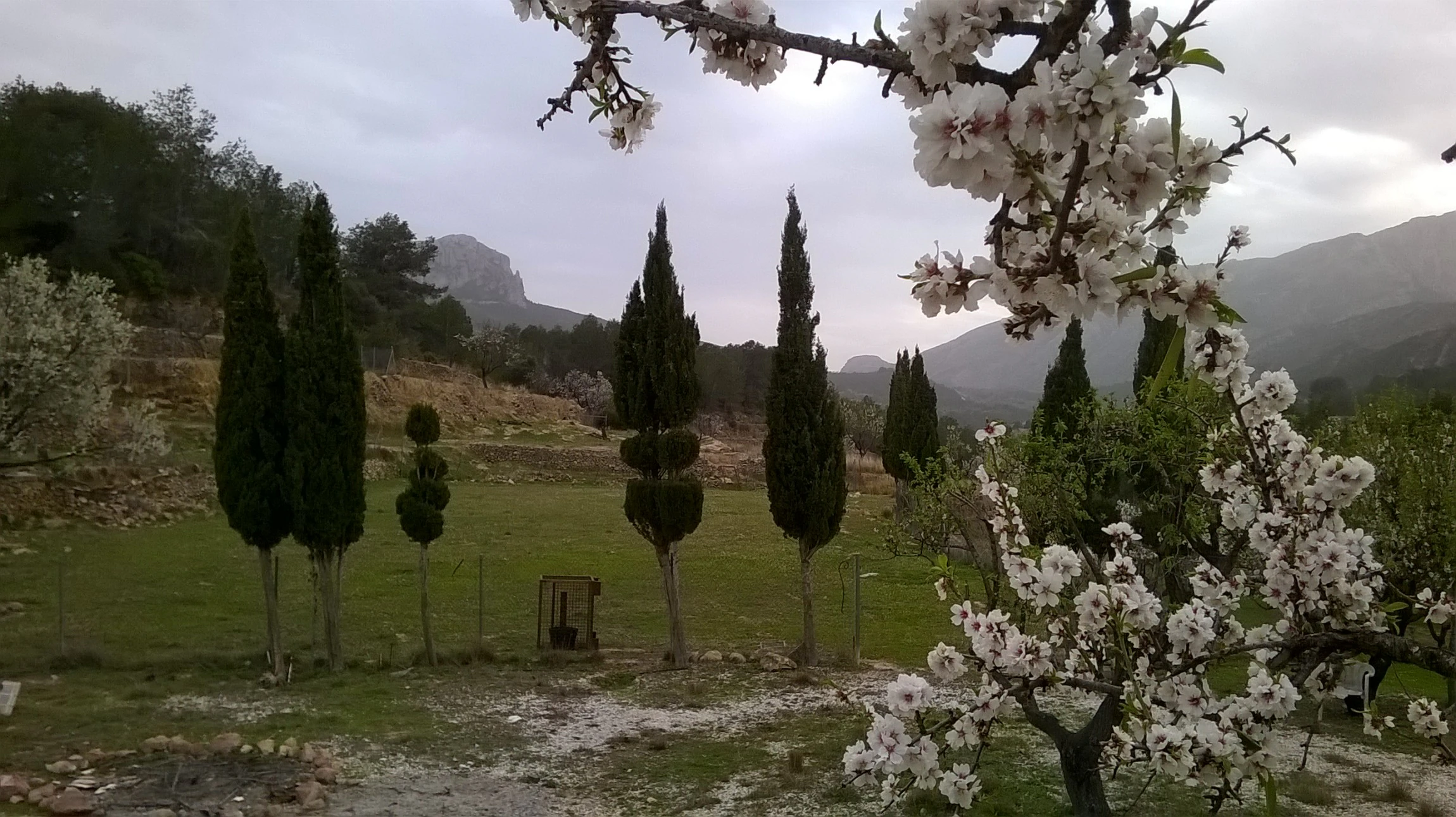 Plot for sale in Benissa