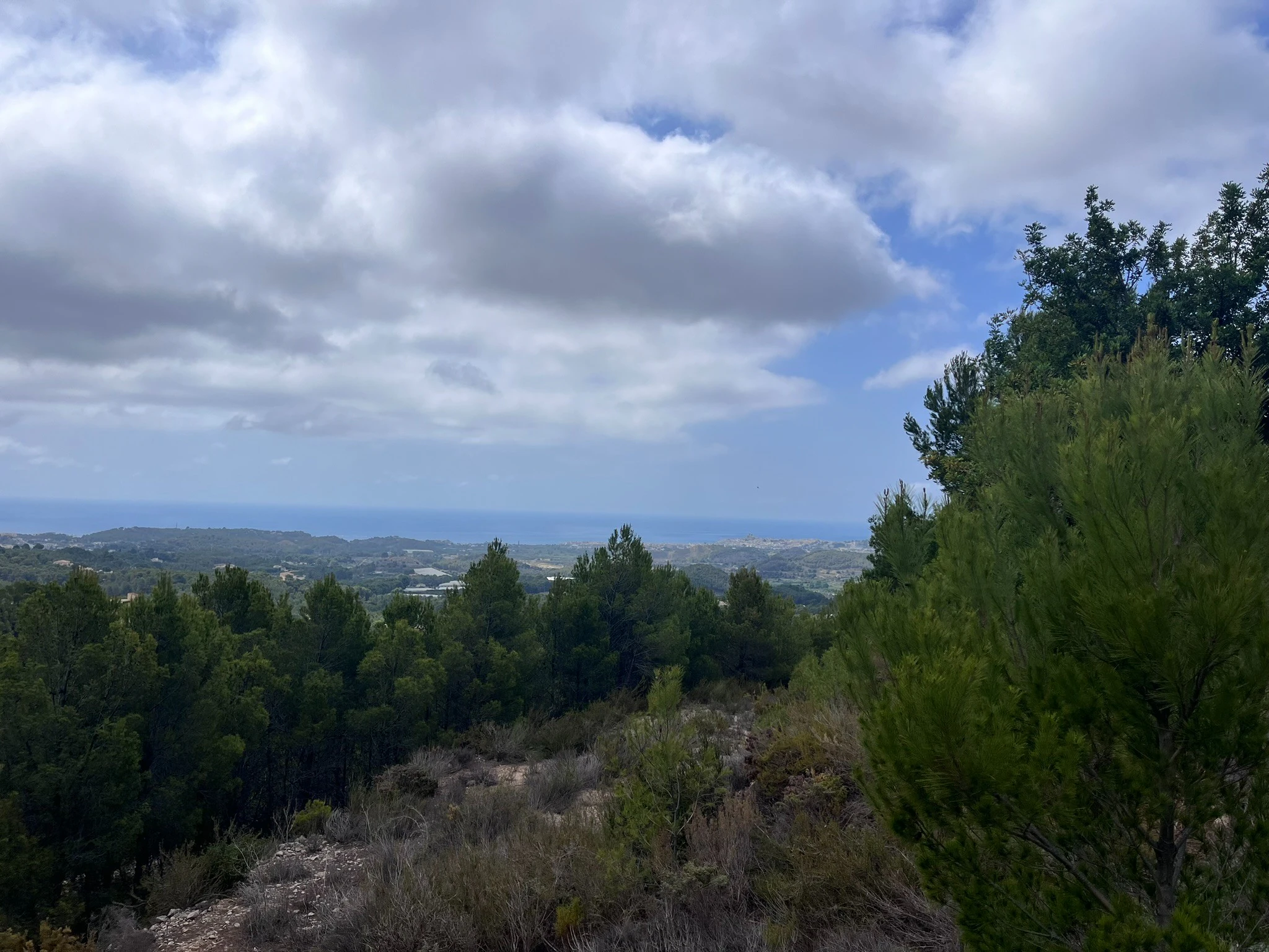 Plot for sale in Callosa D'en Sarrià