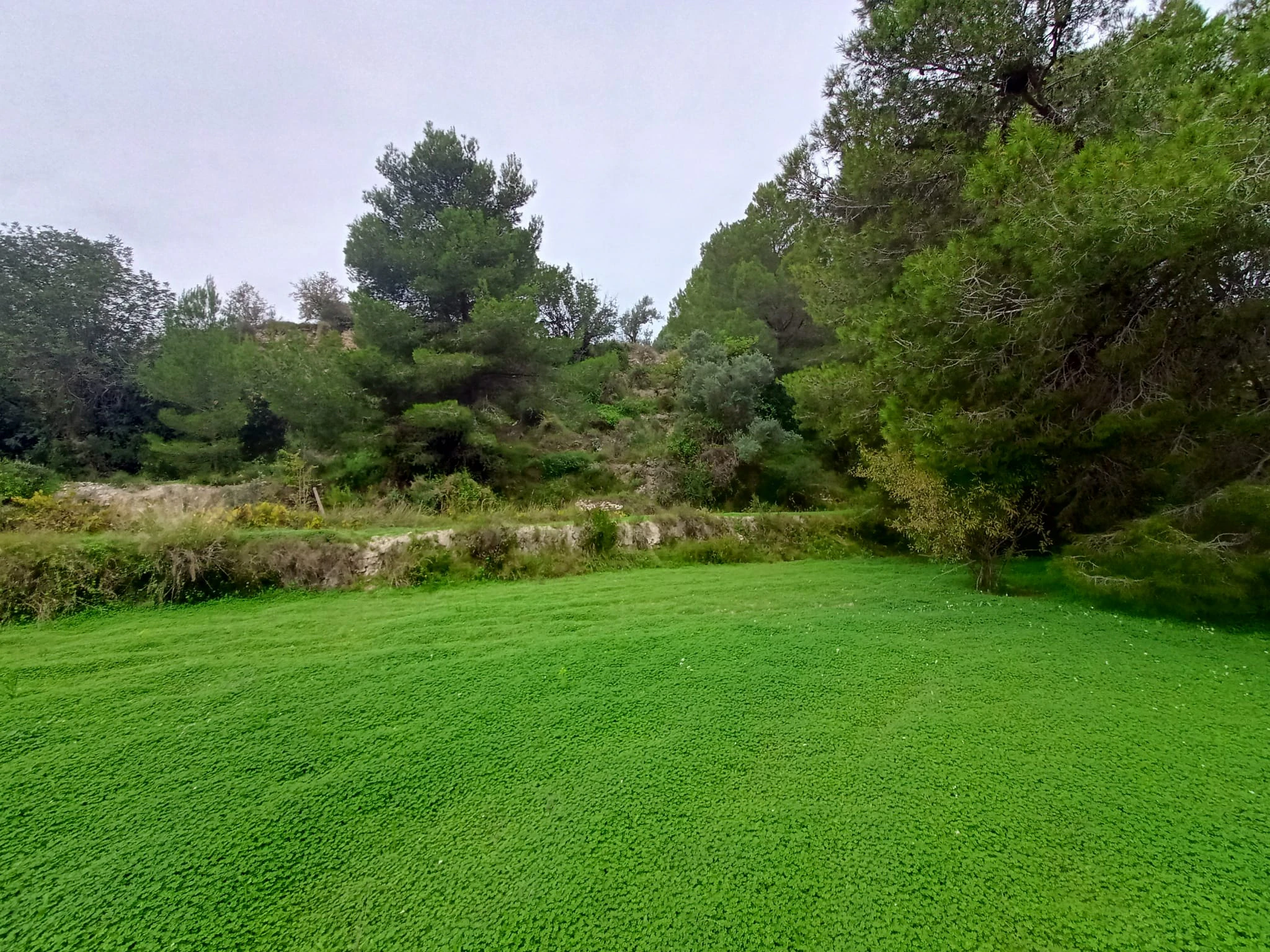 Terrain à la vente à Benissa
