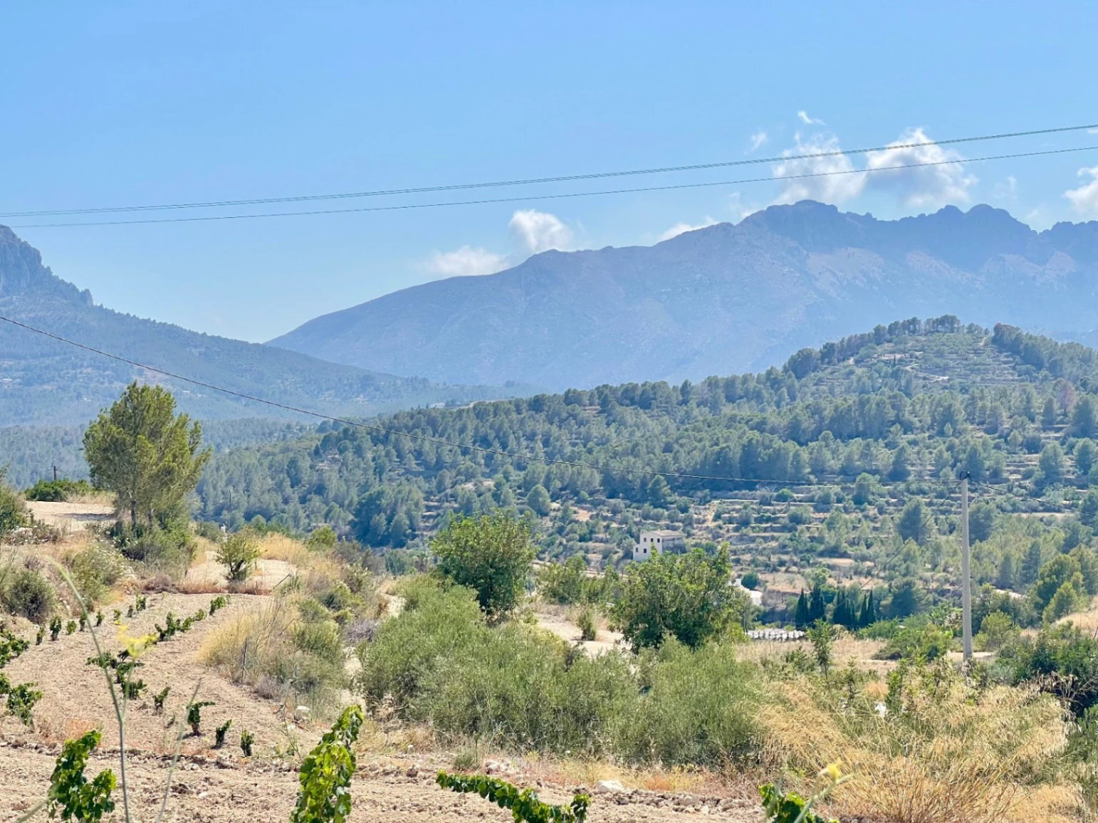 PLOT WITH PROJECT AND LICENSE IN BENISSA