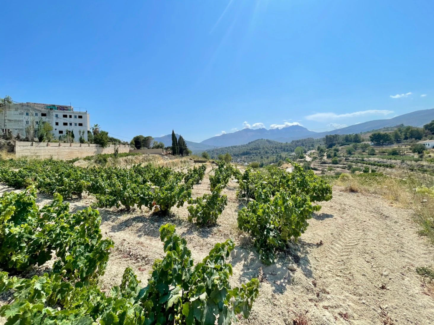 PLOT WITH PROJECT AND LICENSE IN BENISSA