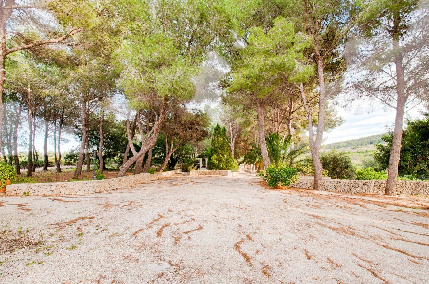 FINCA IN DER RUHE VON GATA DE GORGOS