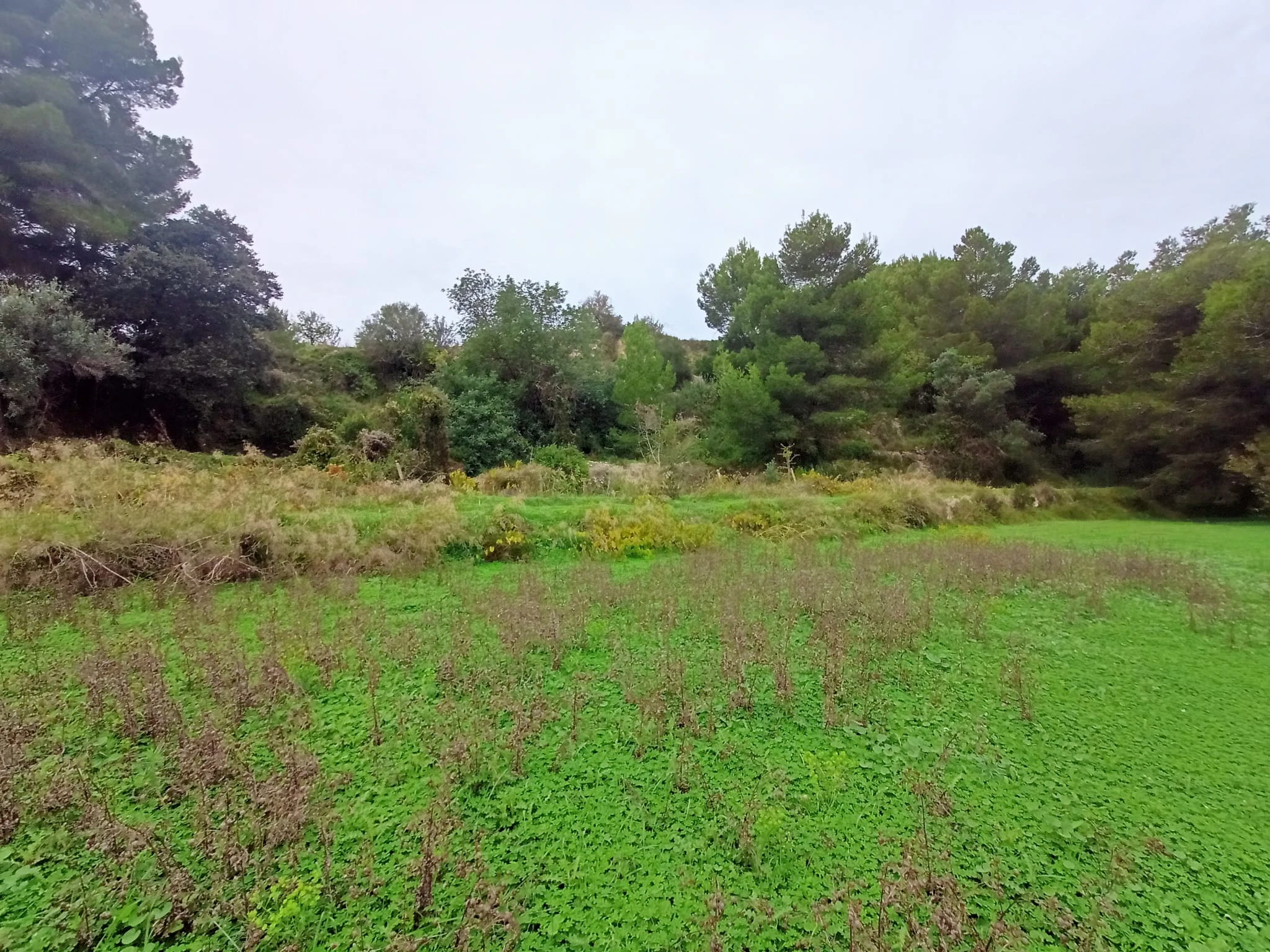 Terrain à la vente à Benissa