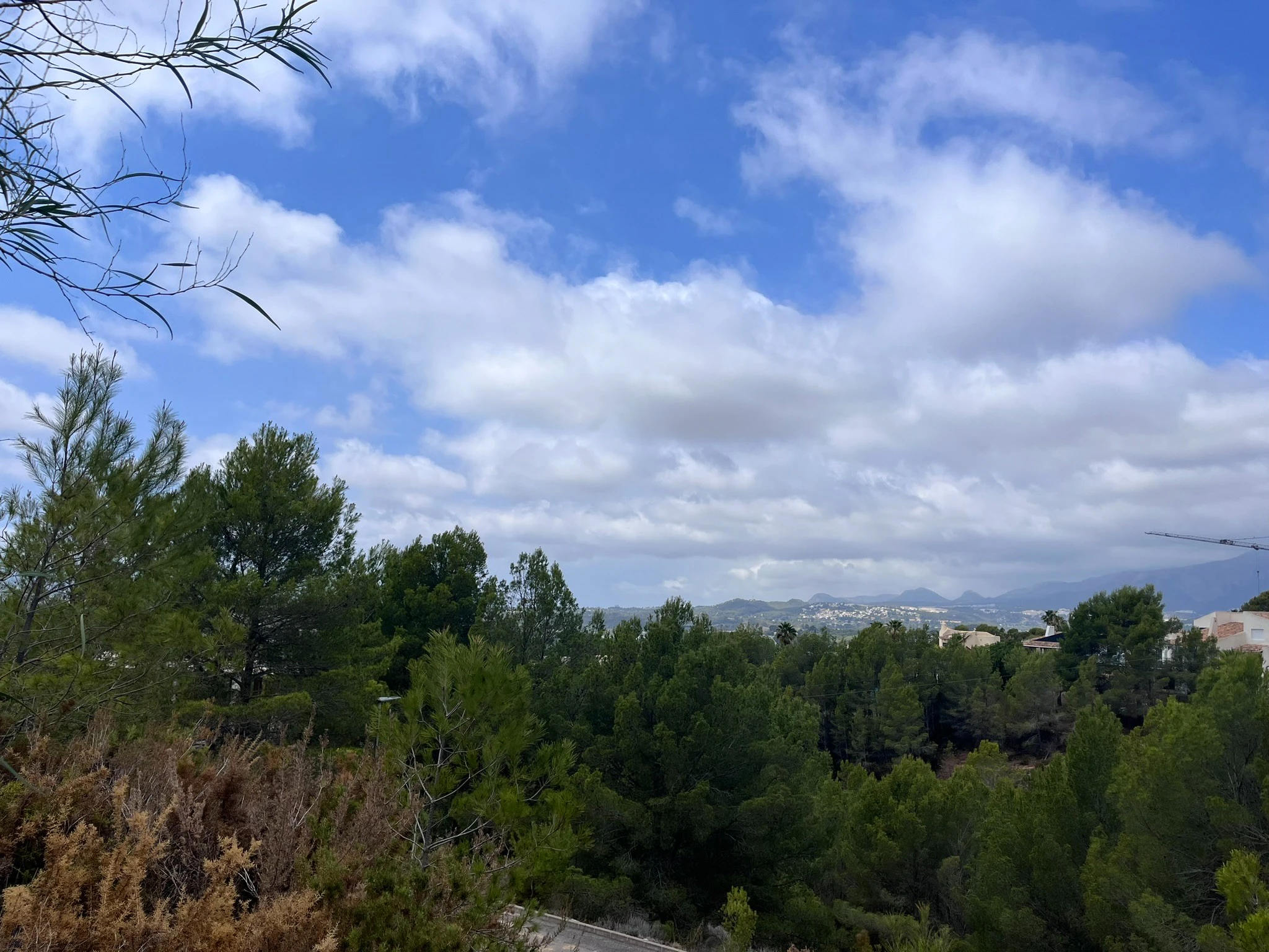 Plot for sale in Callosa D'en Sarrià