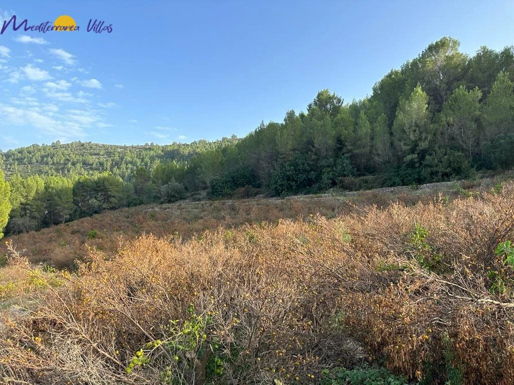Terrain à vendre à Jalon