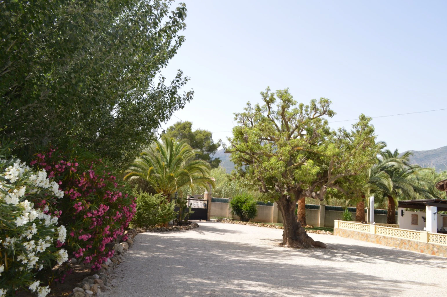 Villa for sale in Alcalali: Private, large south-facing plot, walking distance