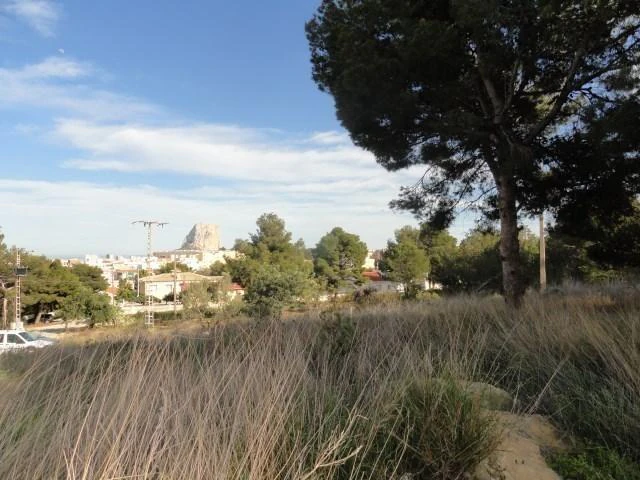 Plot for sale in Calpe