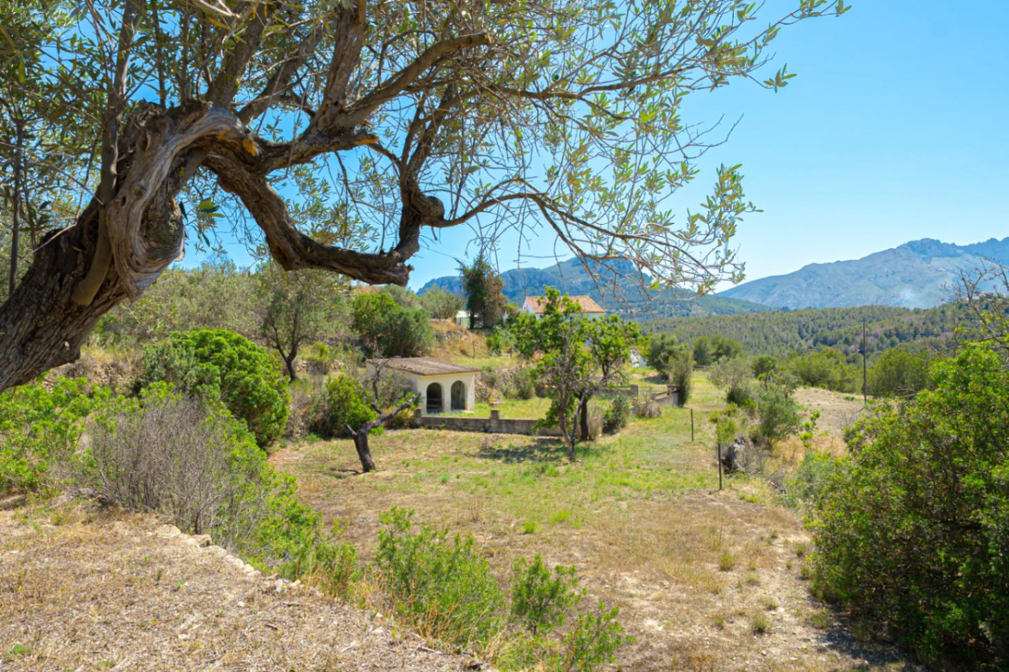 Villa for sale in Benissa: Stables and land