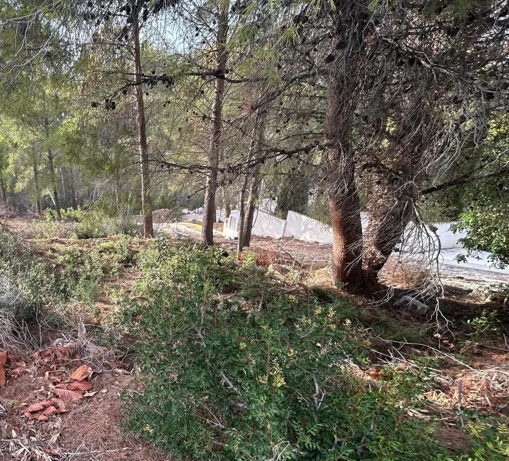 Plot for sale in Altea