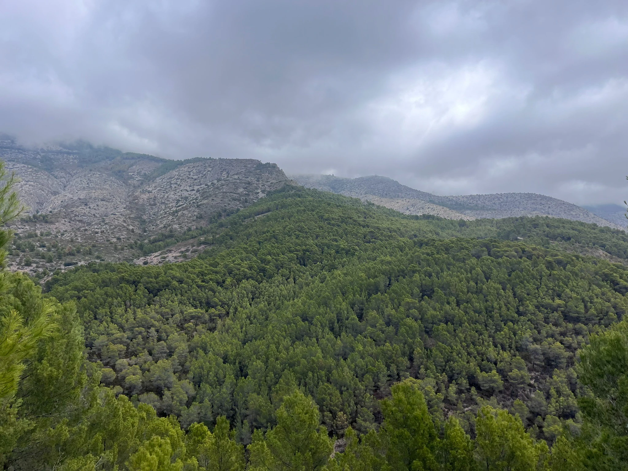 Plot for sale in Callosa D'en Sarrià